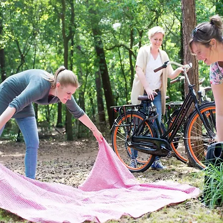 Restyled With Dishwasher, On A Park, 9 Km From Breda Oosterhout (North Brabant)